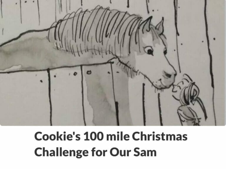 Cookie’s 100-mile Christmas Challenge for Our Sam