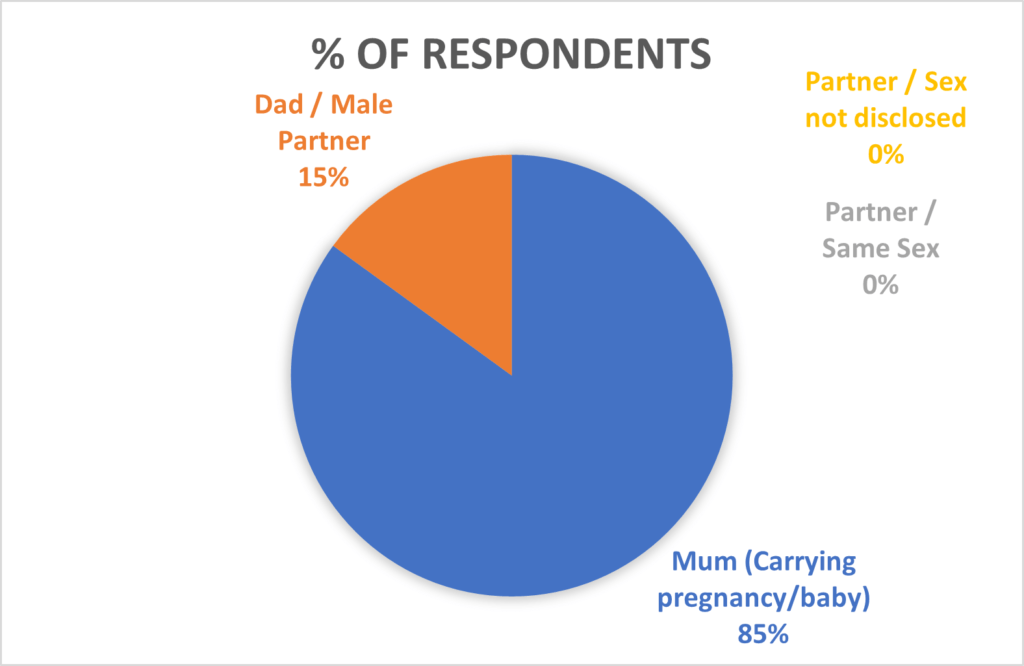 Chart 2 – Gender of the people who completed the survey (Respondents)